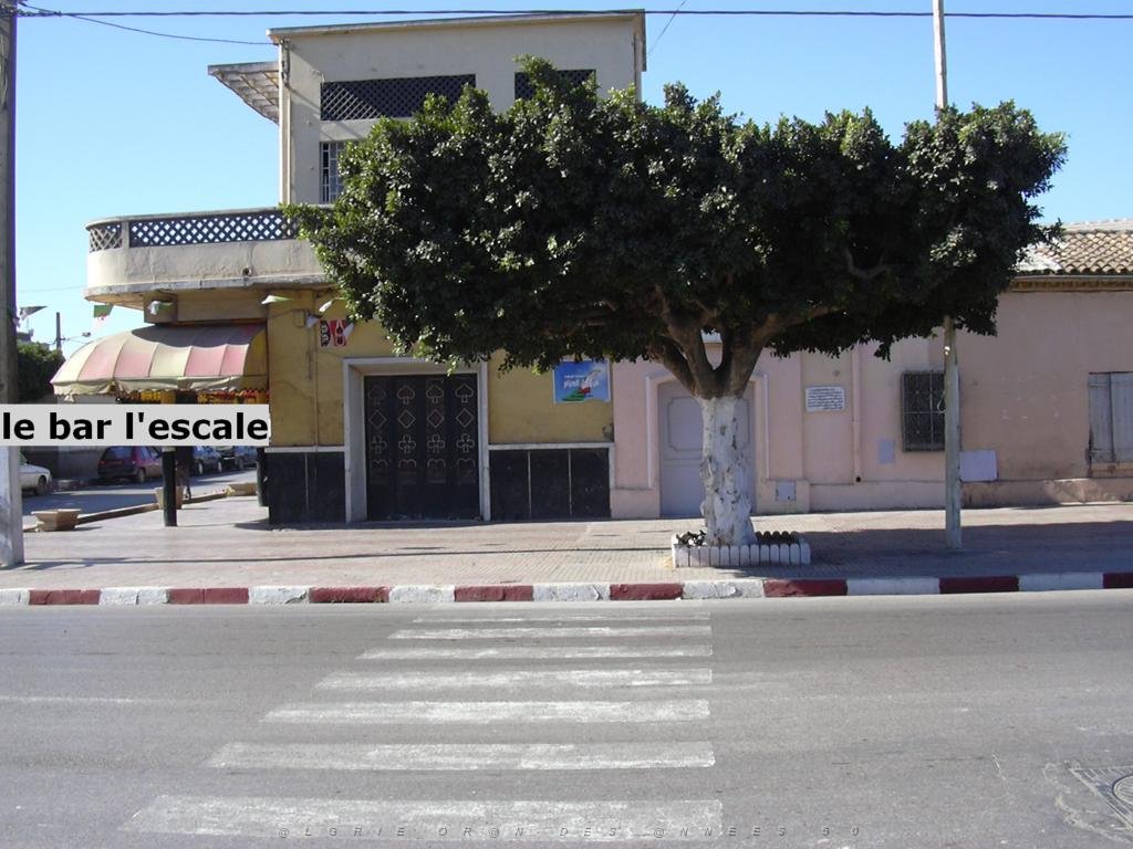 VOYAGE DU 10 2005 LA SENIA 032 LE BAR L ESCALE.JPG